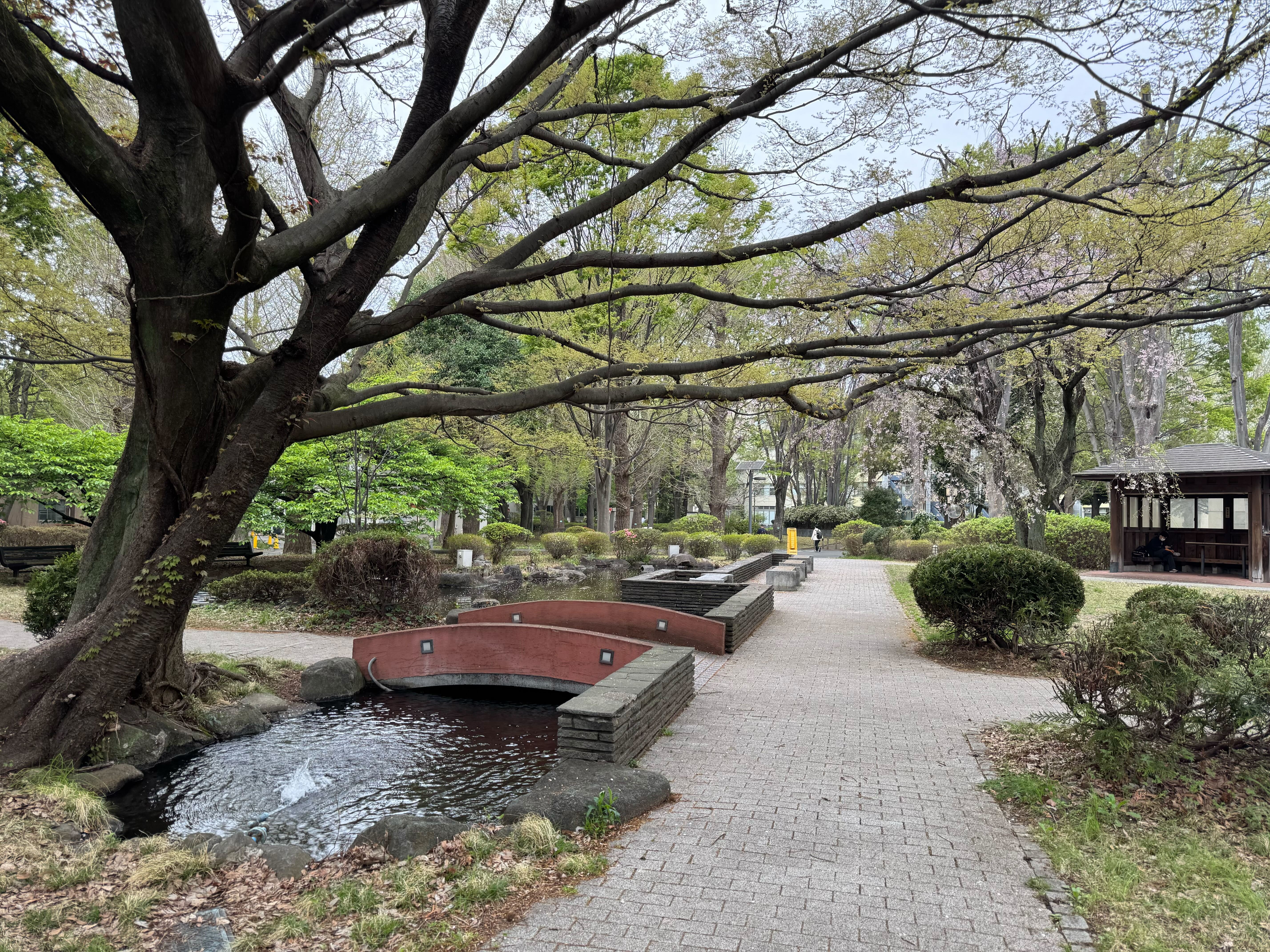 Webサイトを公開しました